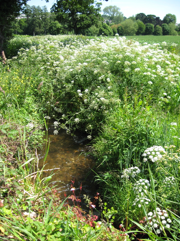 Aller Ford 2 Aller Ford 2